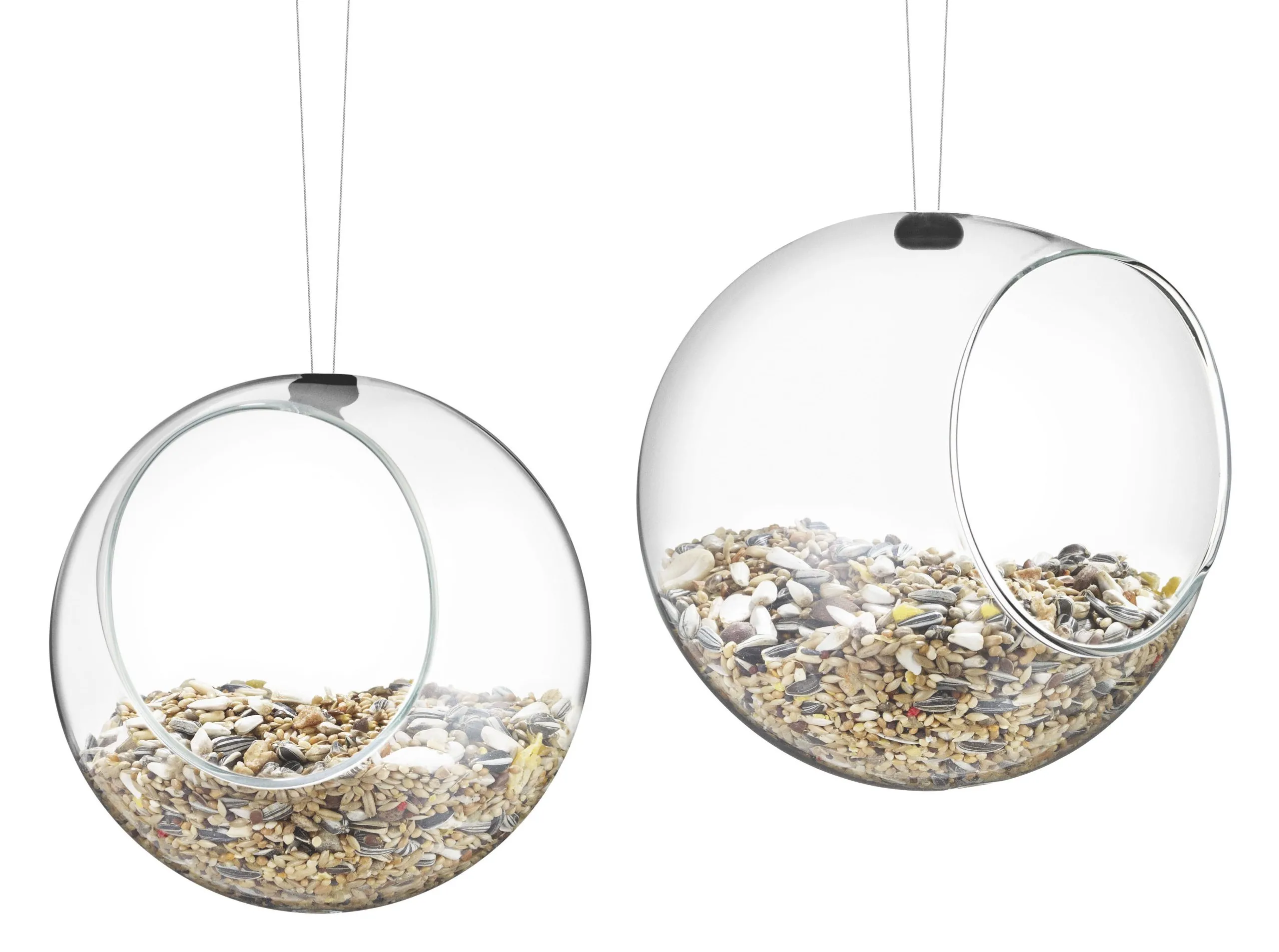 Mangeoire à oiseaux verre Transparent