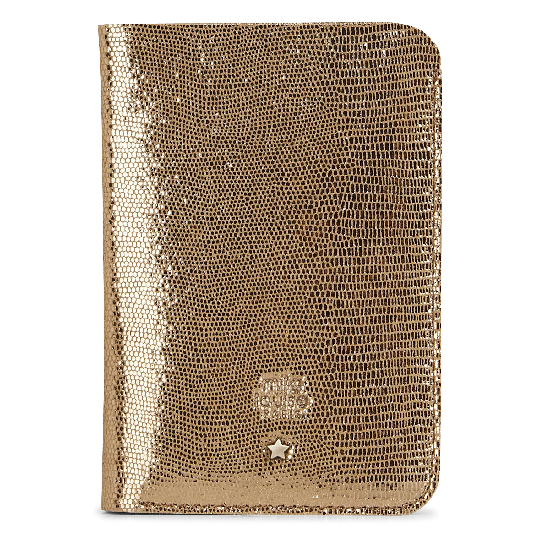 Etui papiers en cuir métallisé Vert ORY