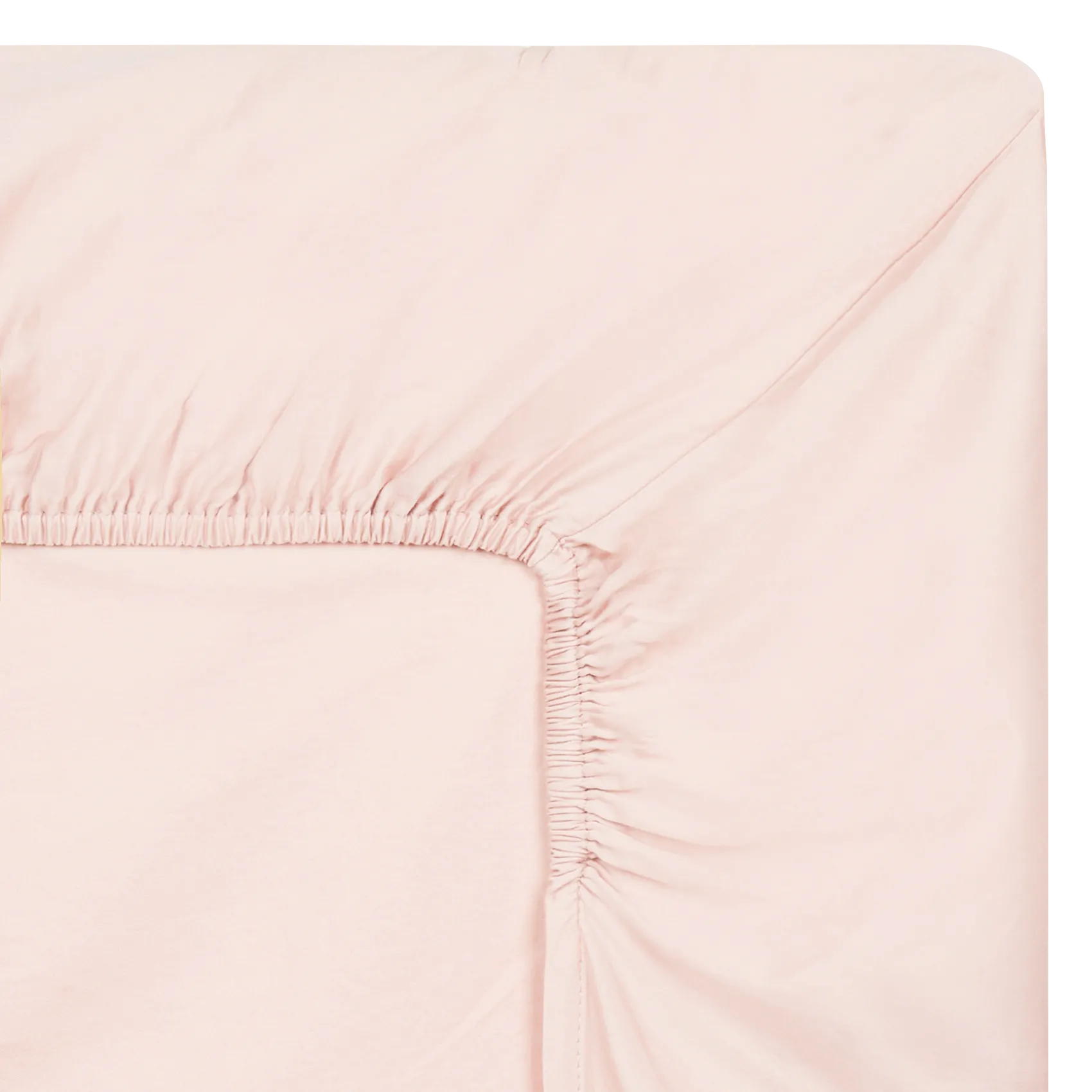 Drap housse en coton Rose DH SATIN