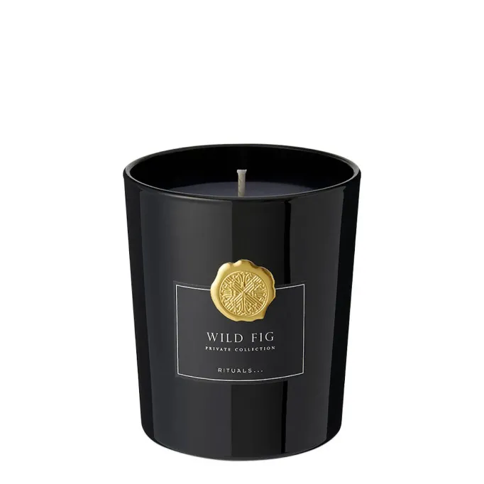 Wild Fig Scented - Bougie Parfumée