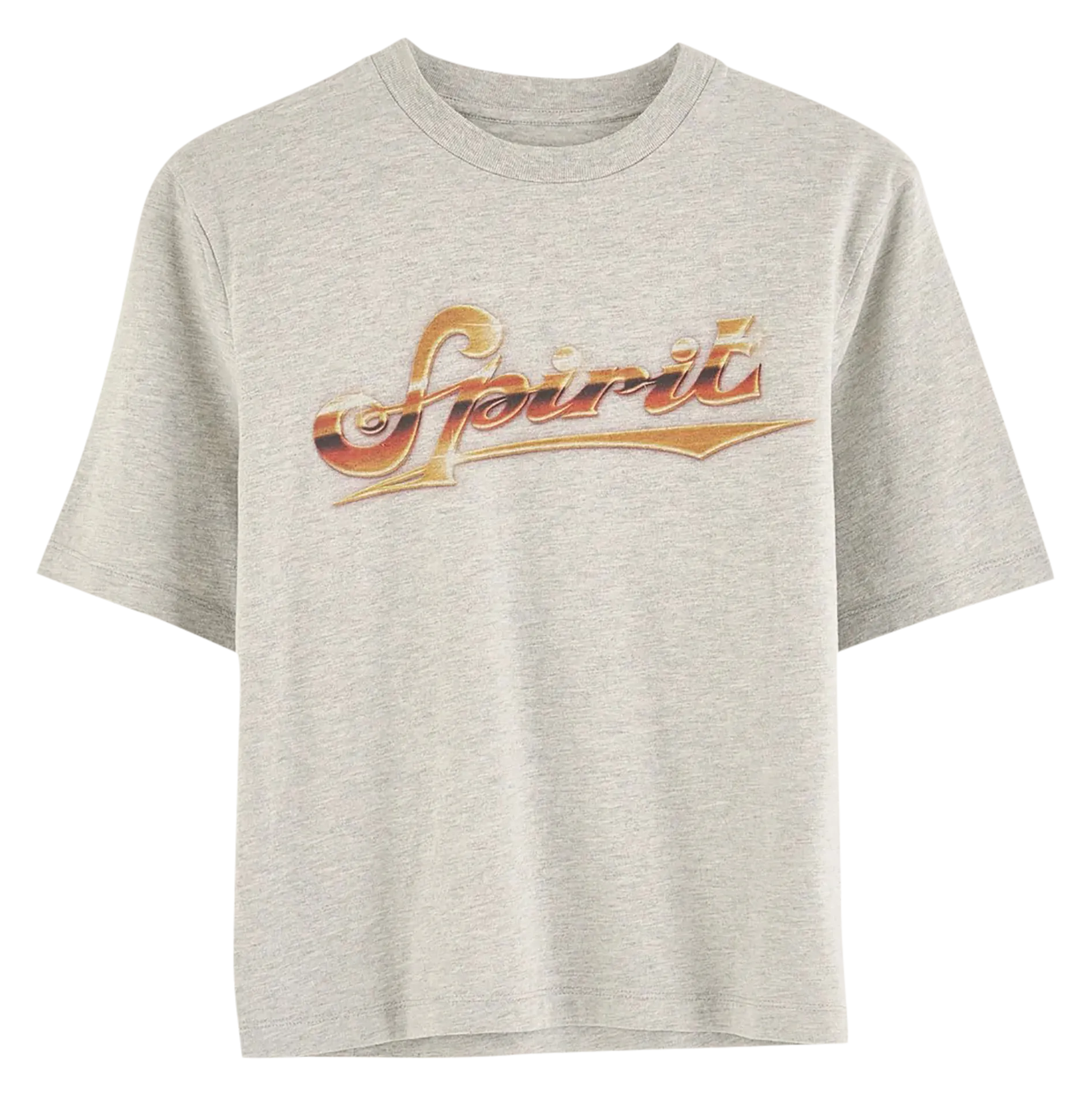 Tee-shirt imprimé en coton Gris MILOW