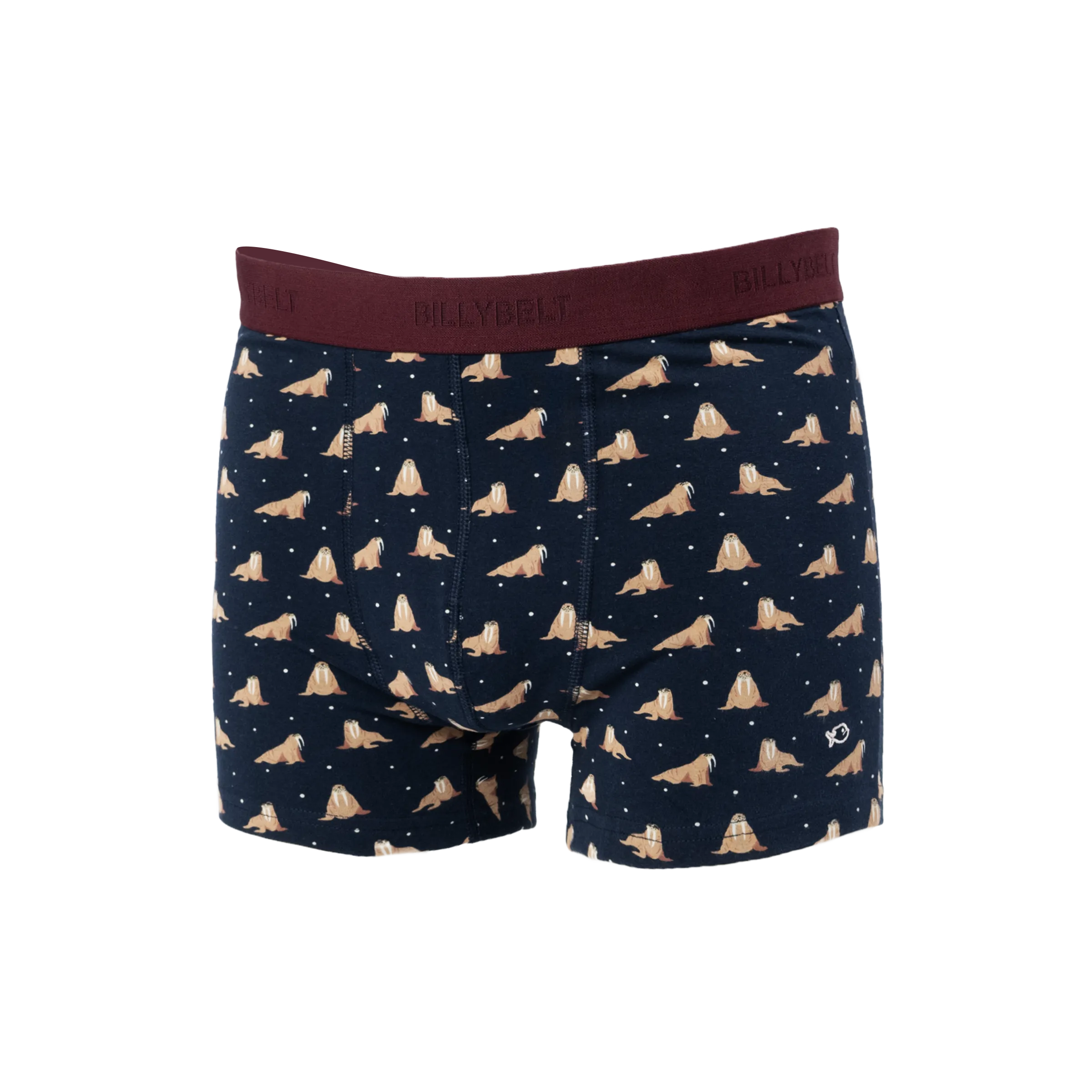 Boxer en coton biologique Bleu MARCEL