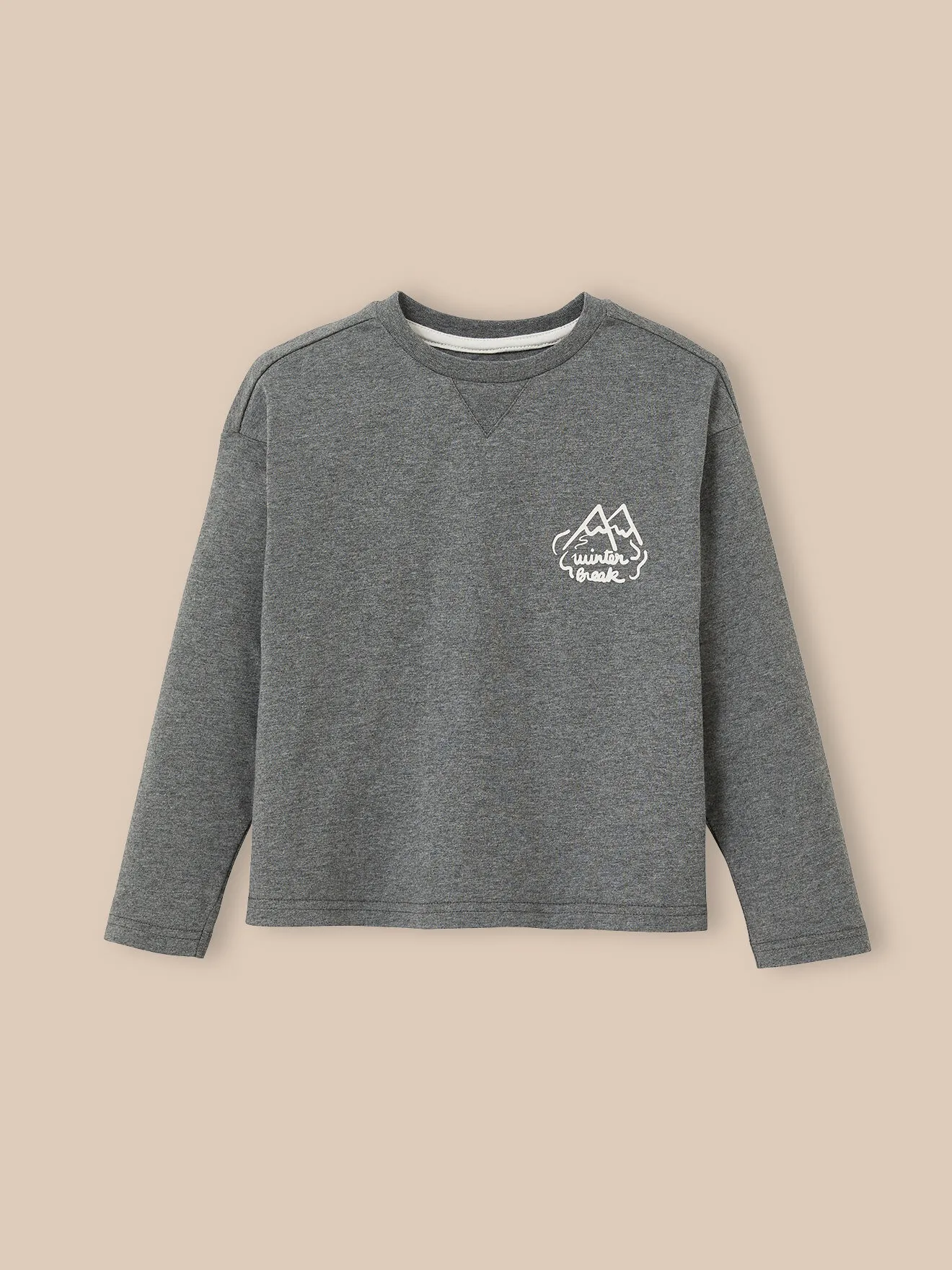 T-shirt en jersey épais en coton biologique Gris