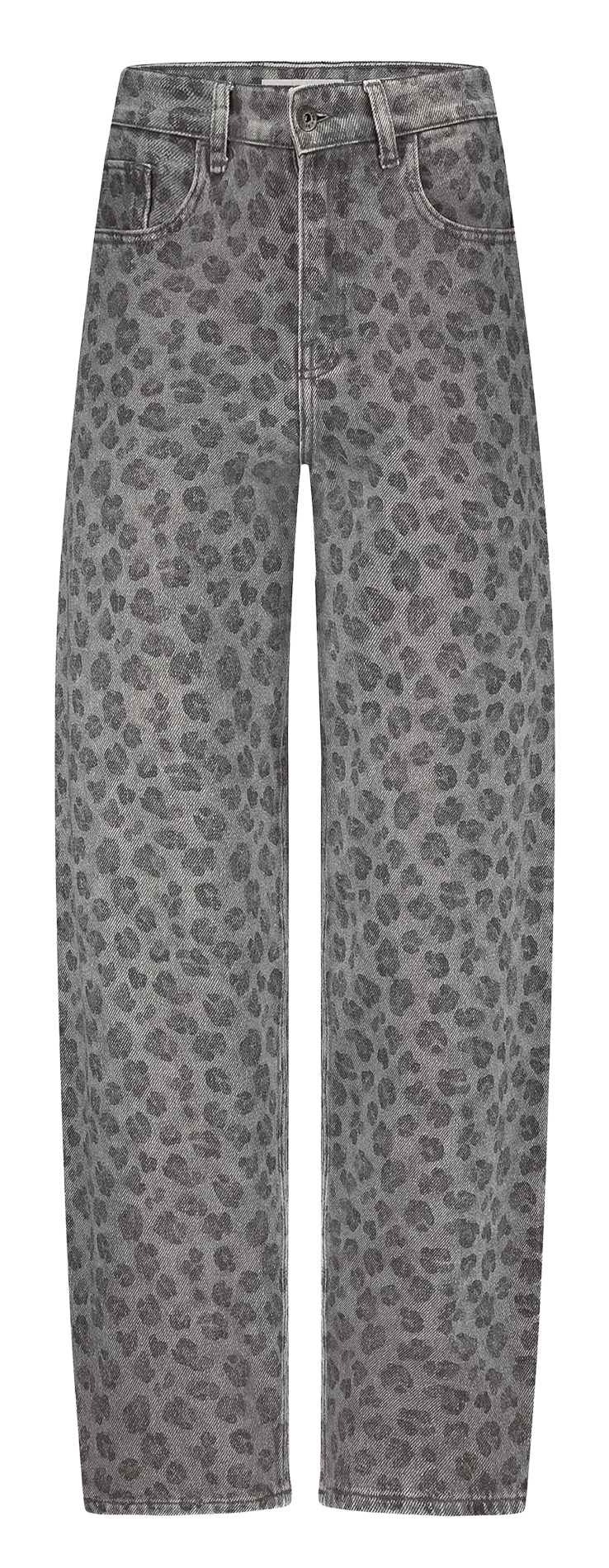 Pantalon ample jacquard Gris BENJI