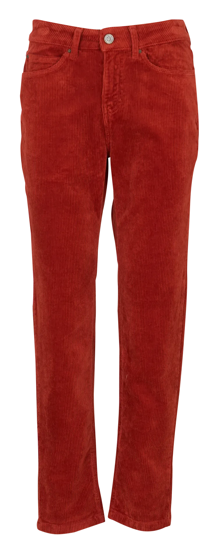 Pantalon droit velours côtelé en coton stretch Marron PAVLINA