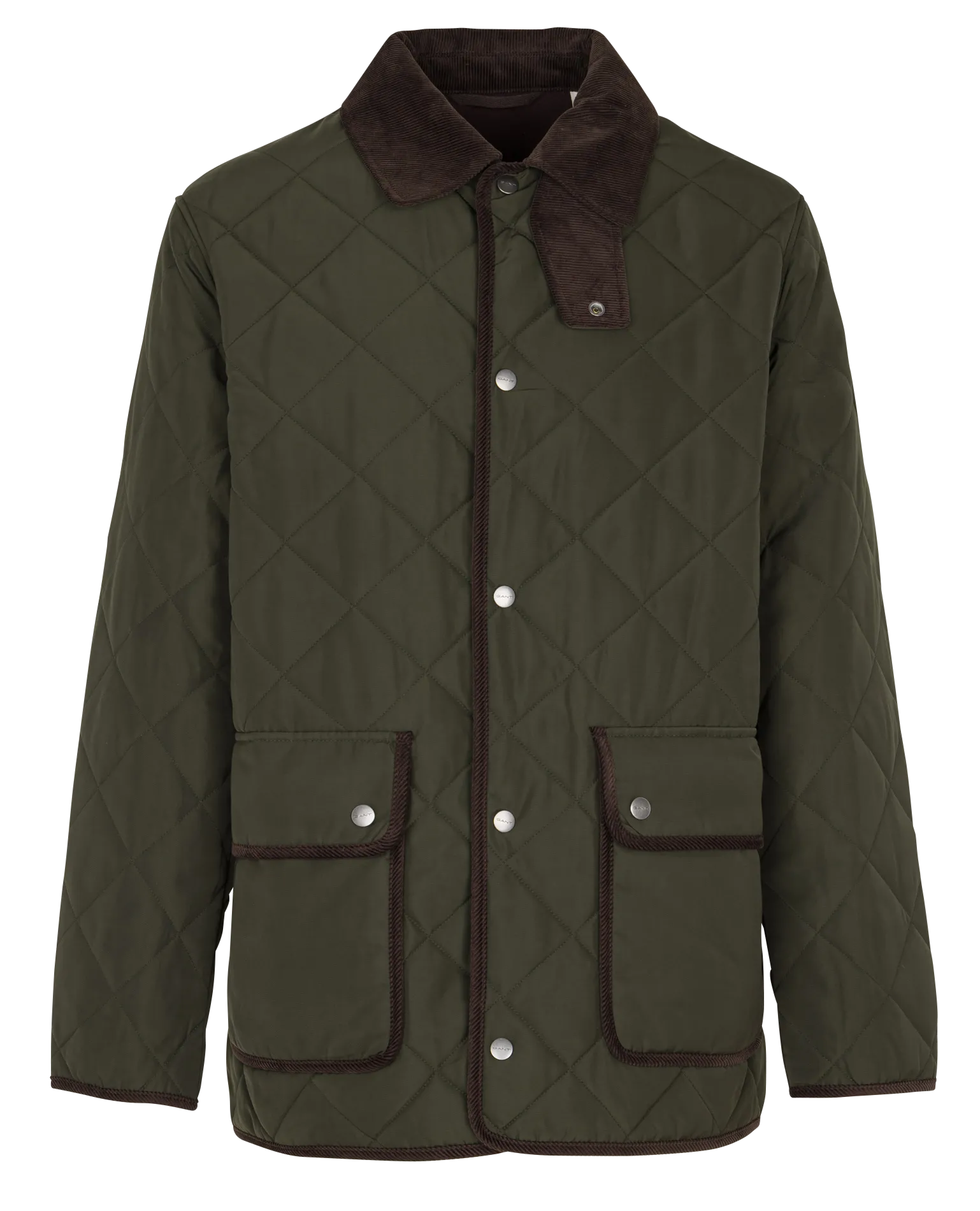 Manteau col classique en velours côtelé Vert