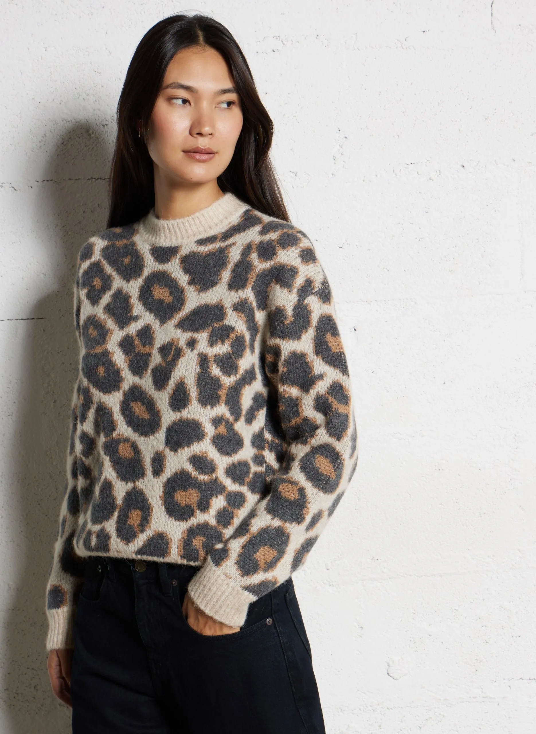 Pull droit col rond léopard Multicolore MALI