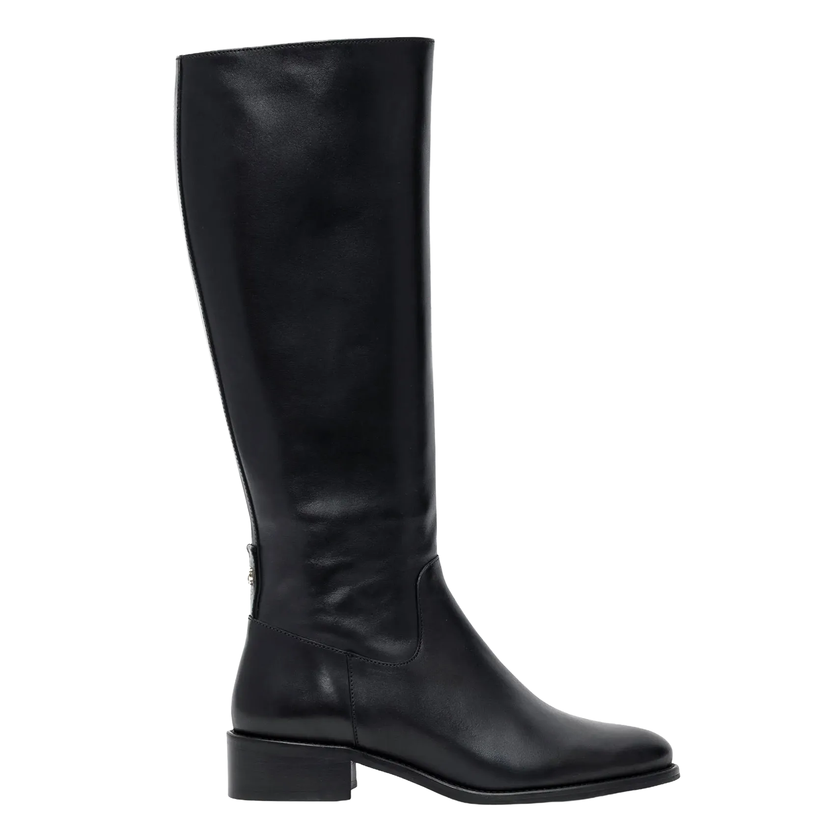 Bottes en cuir Noir VIENNE